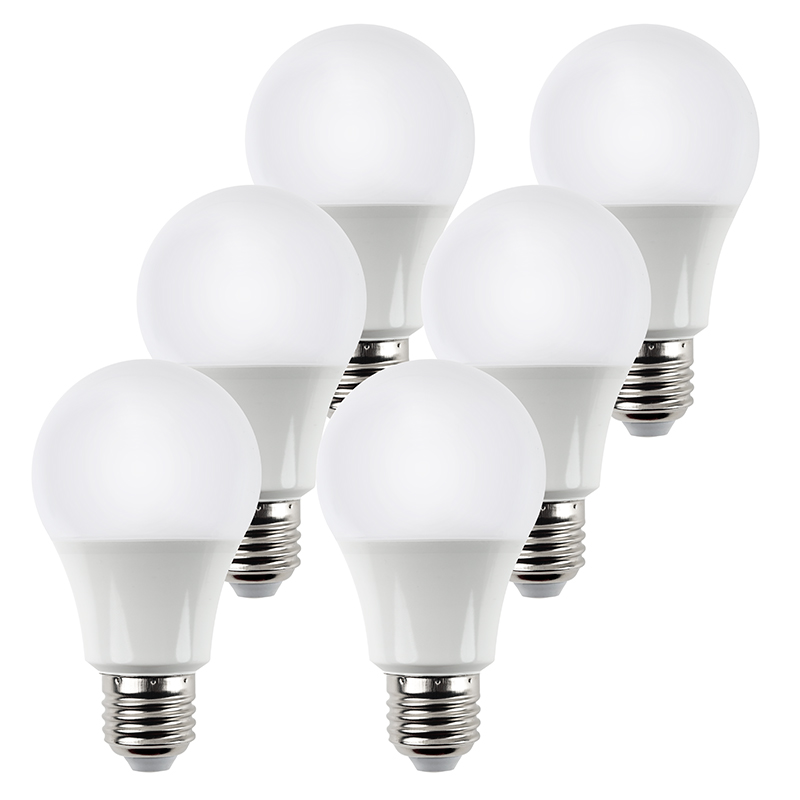 A19 LED Bulb - 60 Watt Equivalent - 12V DC - 820 Lumens － 6 Pack