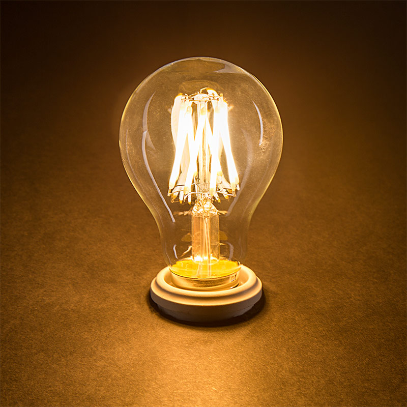 A19 LED Bulb - 40 Watt Equivalent LED Filament Bulb - 12V DC - 490 Lumens