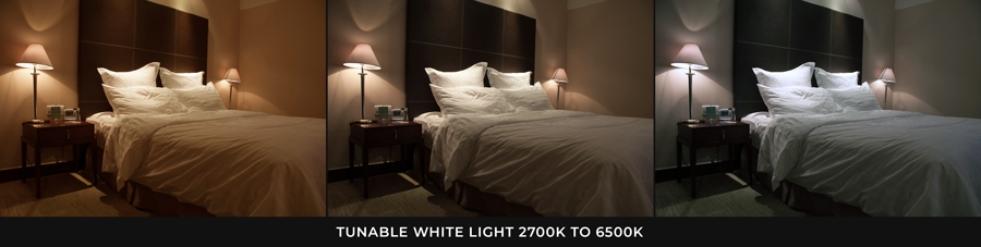 A19 MiLight RGB+Tunable White LED Bulb - 9-Watt (60-Watt Equivalent) - 850 Lumens - RF Remote Included