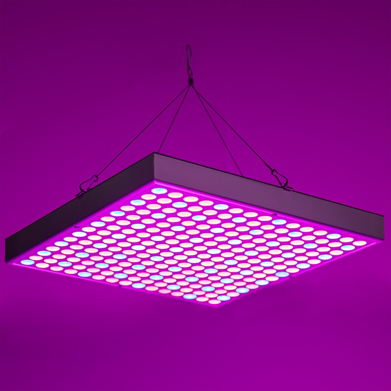 30W LED Grow Light - 2-Band Red/Blue for Indoor Plant Growth