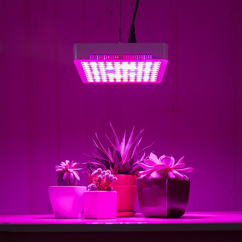 65W Full-Spectrum LED Grow Light - 5-Band Red/Blue/UV/IR/White for Indoor Plant Growth