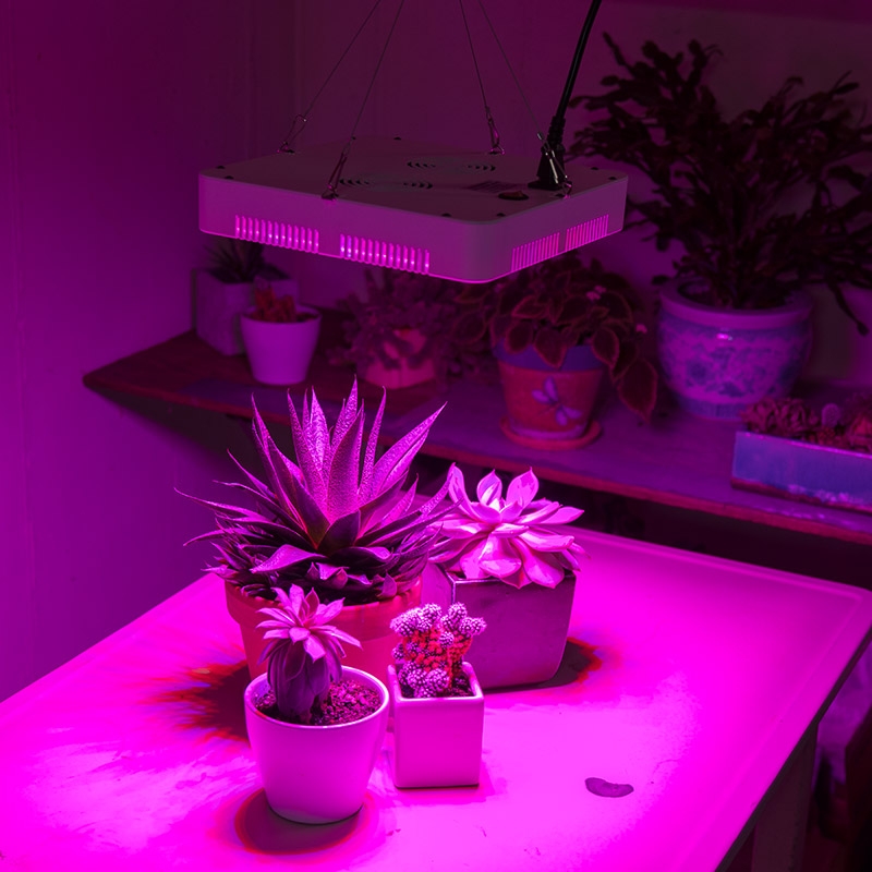 65W Full-Spectrum LED Grow Light - 5-Band Red/Blue/UV/IR/White for Indoor Plant Growth