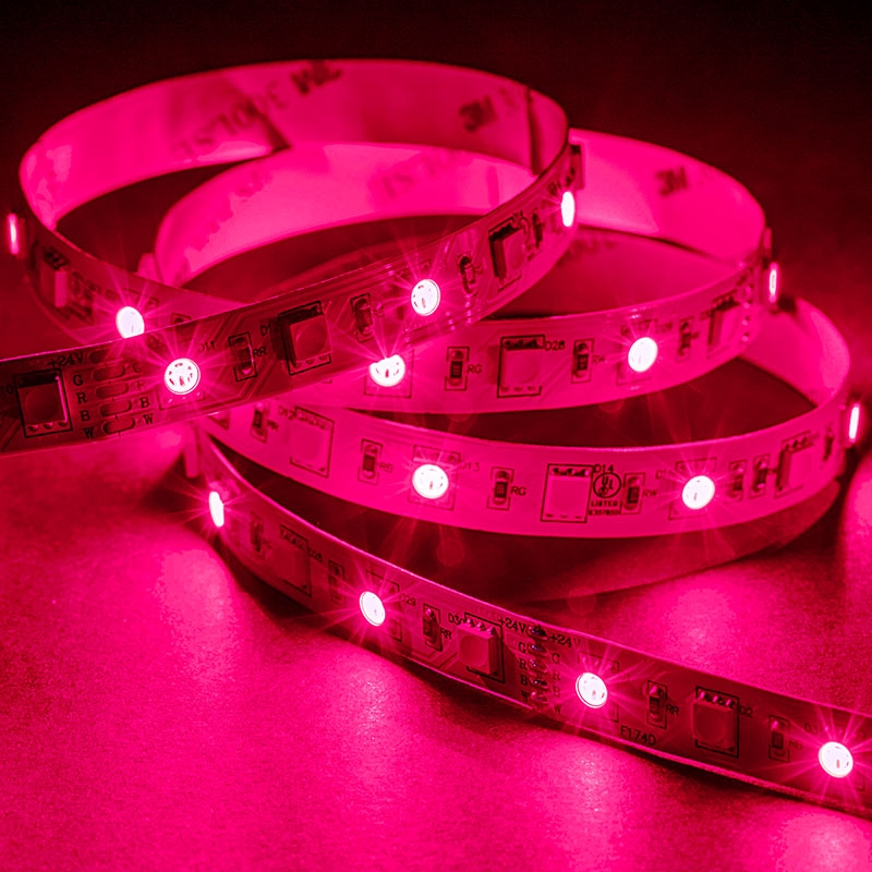 5050 RGB+W LED Strip Light - Color-Changing LED Tape Light w/ White and Multicolor LEDs - 12V - IP20 - 204 lm/ft